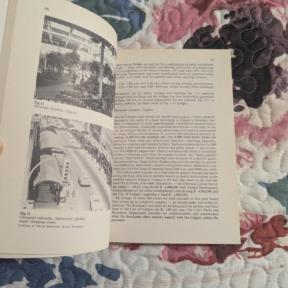 Cities Designed for Winter book - Picture 3 of 5